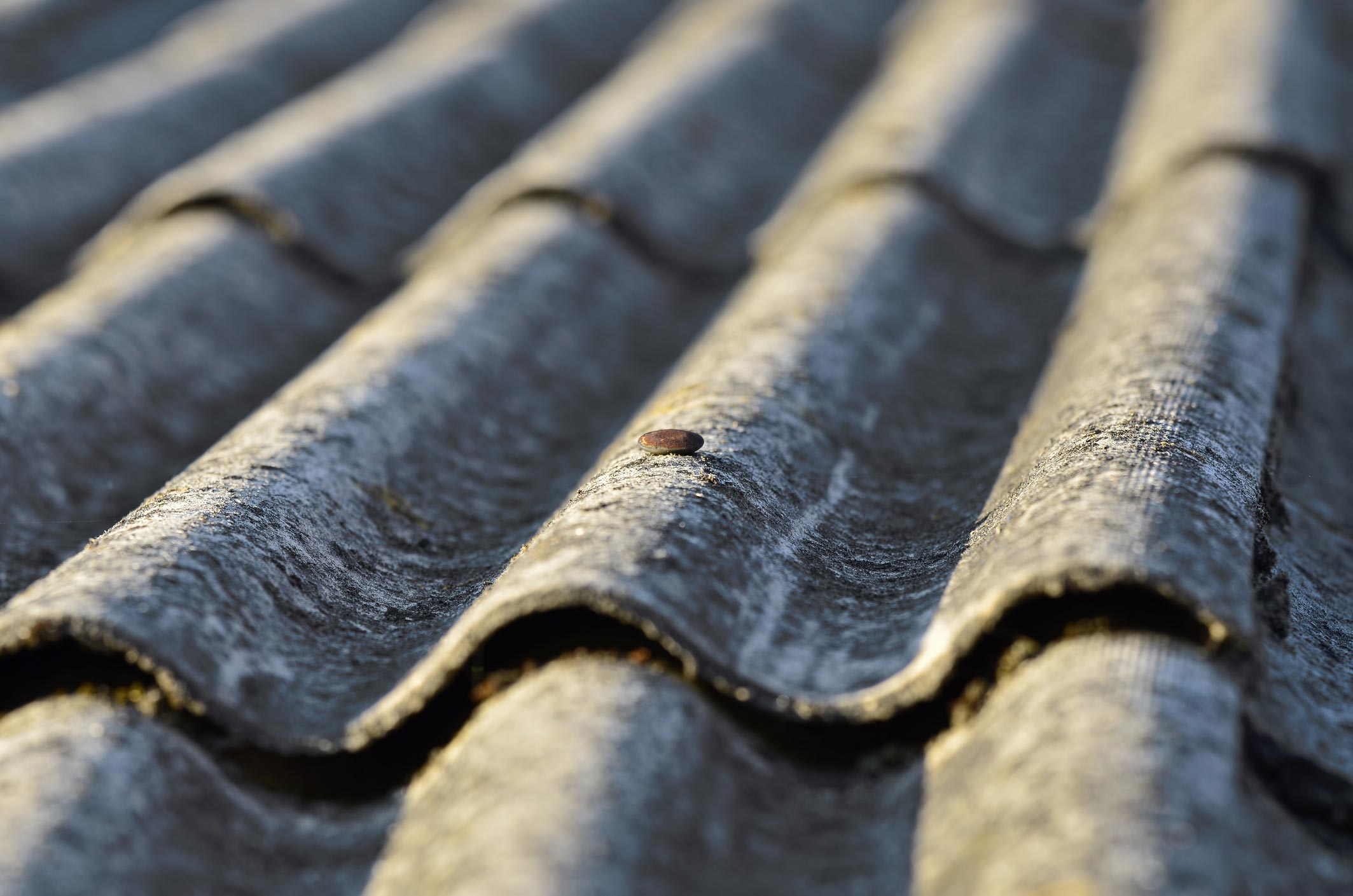 Asbestos Removal & Maintenance